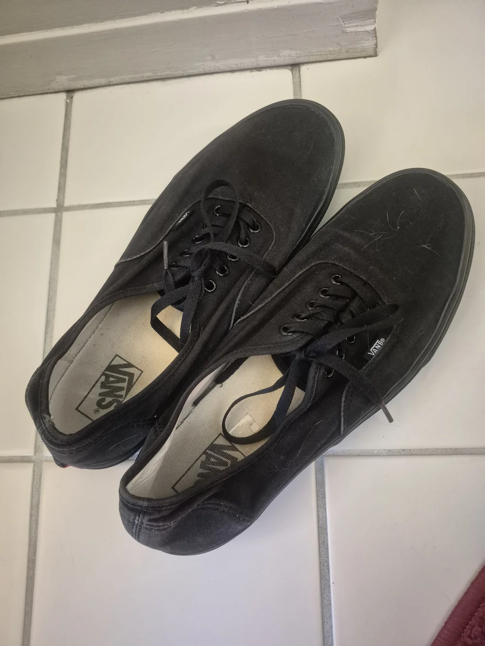 Vans Authentic Men's Black Canvas Sneakers